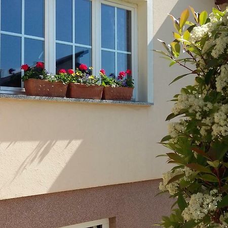 Apartments Place4you Bjelovar Extérieur photo