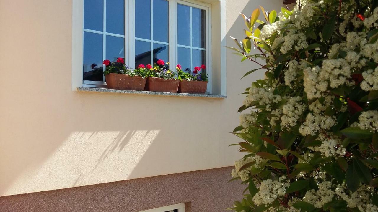 Apartments Place4you Bjelovar Extérieur photo